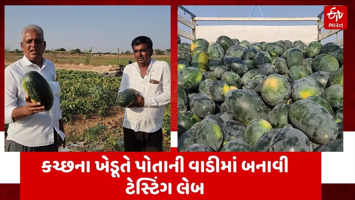 કચ્છના ખેડૂતે કર્યો અનોખો પ્રયોગ