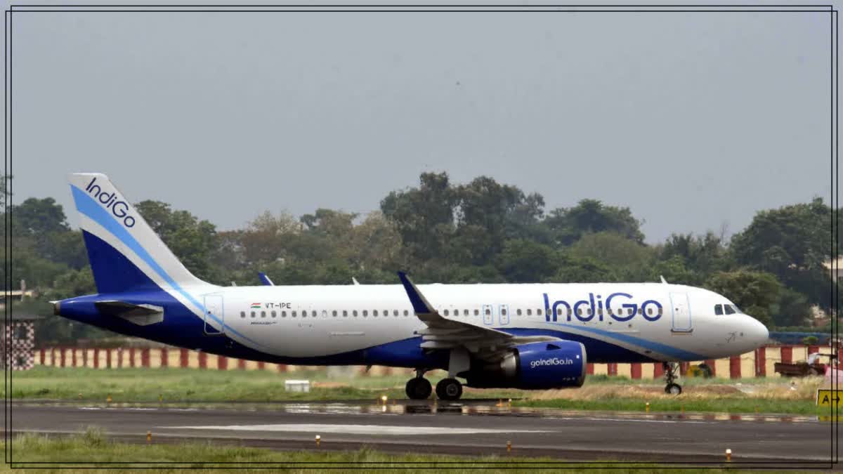 INDIGO PLAN