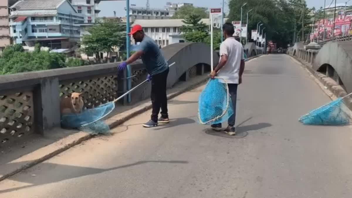 ANTI RABIES VACCINATION FOR DOG  MUVATTUPUZHA ANTI RABIES VAX DRIVE  മൂവാറ്റുപുഴ വാക്‌സിനേഷന്‍ ഡ്രൈവ്  എറണാകുളം തെരുവു നായ ശല്യം