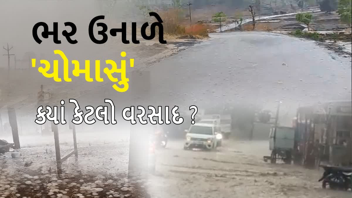 ગુજરાતમાં કેટલું કમોસમી નુકસાન વરસ્યું, જુઓ આંકડા...