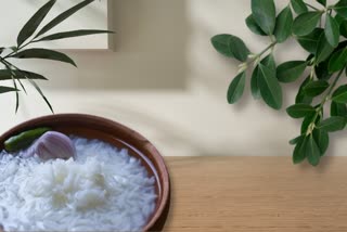 Fermented Rice for Health News