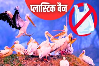 Plastic Ban in Rajasthan