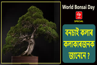 World Bonsai Day