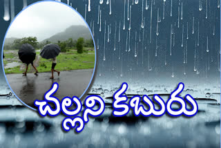 rains in andhra pradesh