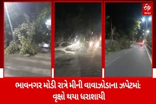 ભાવનગરમાં મોડી રાત્રે મીની વાવાઝોડું ફૂંકાયું, વૃક્ષો પડતા અનેક રસ્તાઓ થયા બંધ