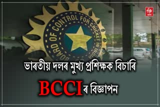 BCCI Head coach application