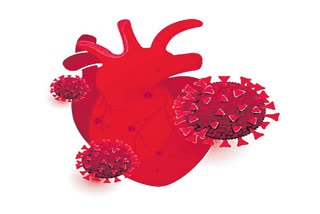 COVID 19  HEART DISEASES  COVID VIRUS CAN CAUSE HEART DAMAGE  കോവിഡ് വൈറസ് ഹൃദ്രോഗത്തിന് സാധ്യത