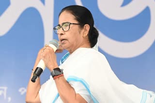 MAMATA BANERJEE