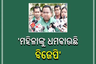 BJD Delegation Meets CEO