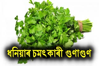 Surprising Health Benefits Of Coriander Leaves