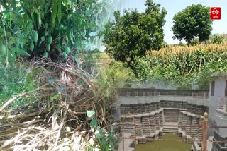 Stepwell In Amravati