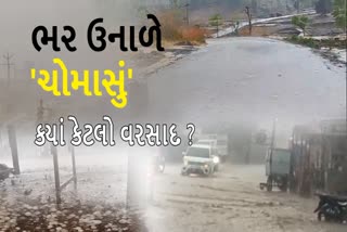 ગુજરાતમાં કેટલું કમોસમી નુકસાન વરસ્યું, જુઓ આંકડા...