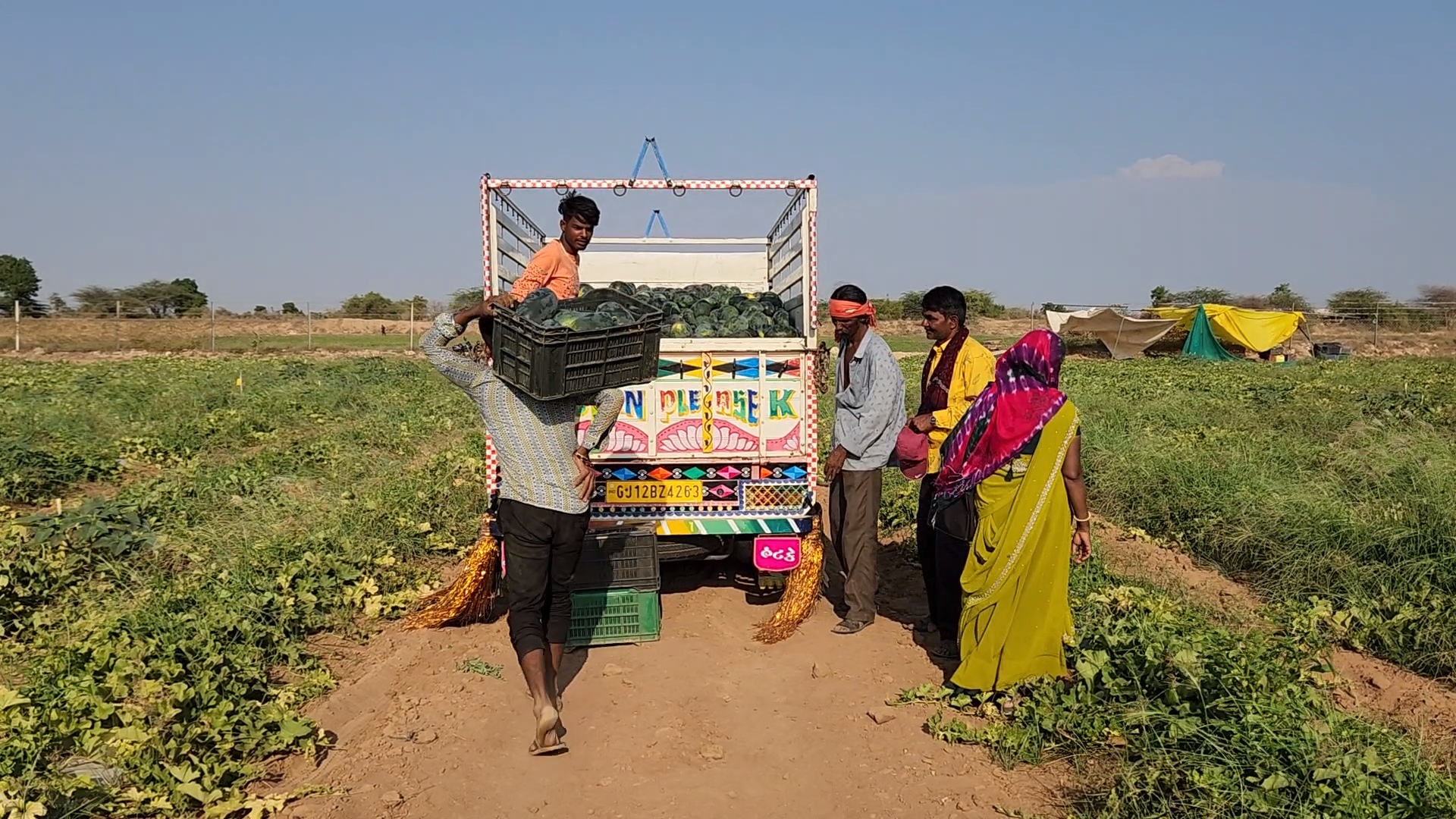 કચ્છના ખેડૂતે કર્યો અનોખો પ્રયોગ