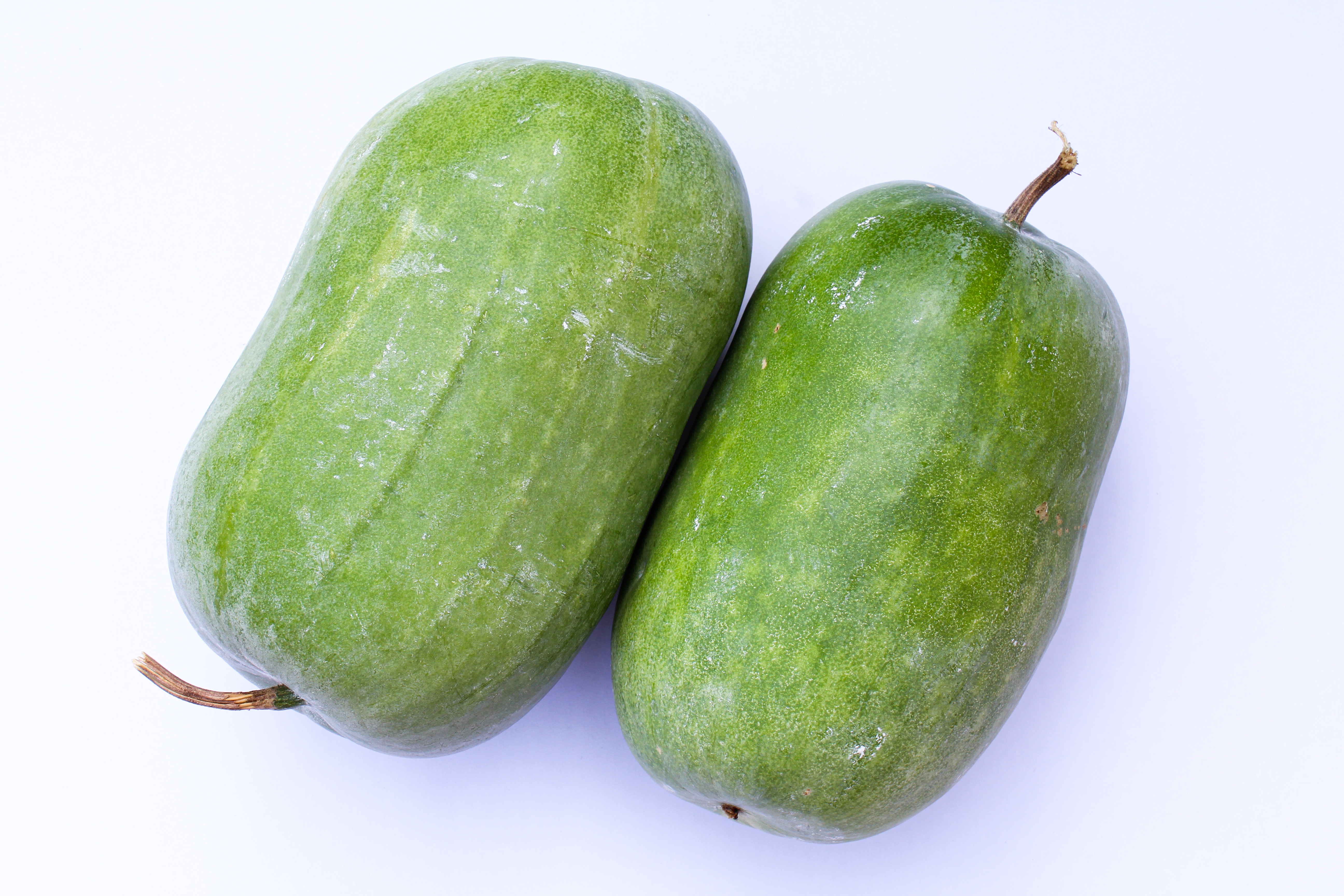 Ash Gourd