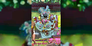 WATCH | Banke Bihari Adorned With Dollar Garland Sent By Devotee From America As Secret Donation