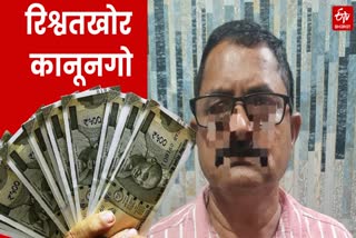राजस्व निरीक्षक नरेंद्र पाल गंगवार