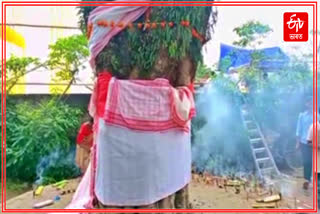 An exceptional Marriage in Baksa