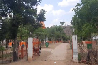DAMOH KISHAN TALAIYA GREENERY