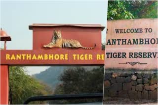 Ranthambore National Park