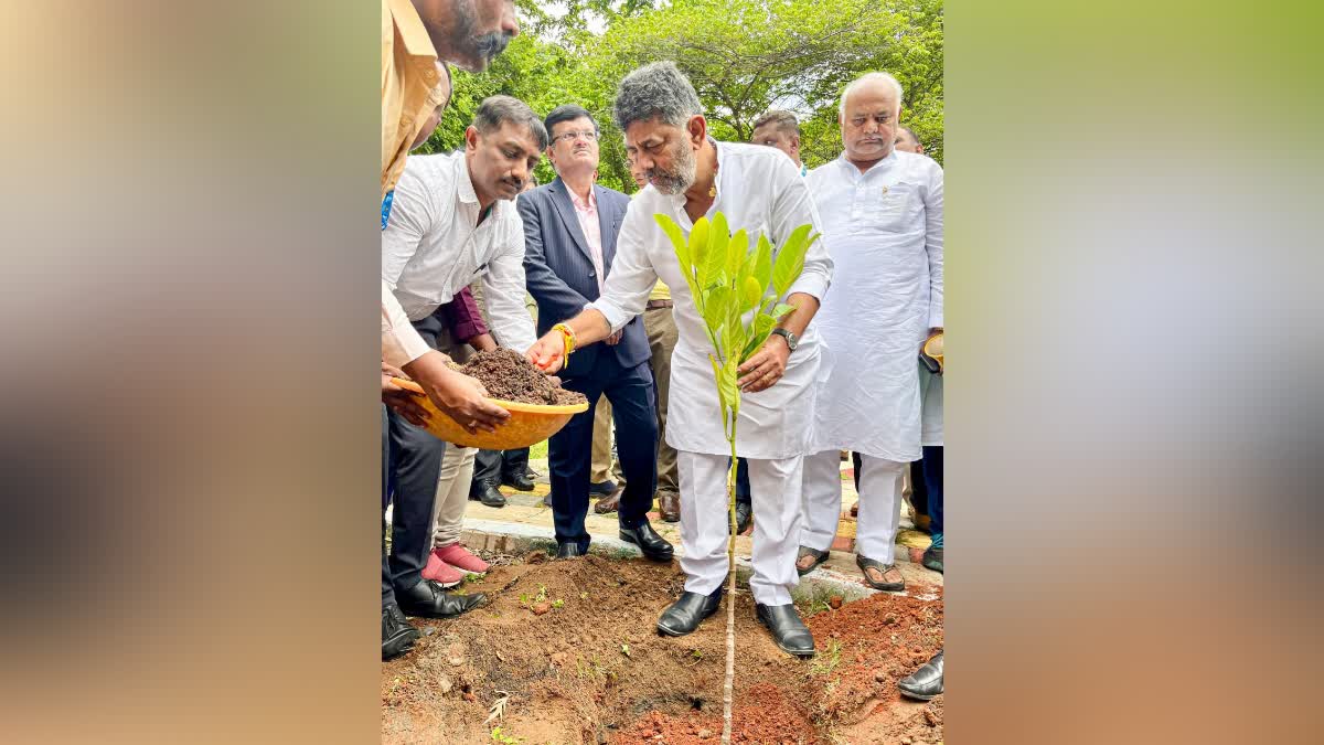 ಗಿಡ ನೆಡುತ್ತಿರುವ ಡಿ.ಕೆ. ಶಿವಕುಮಾರ್​