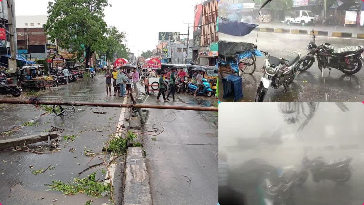 Wind Rain Disaster in Manyam And Anakapalli Districts