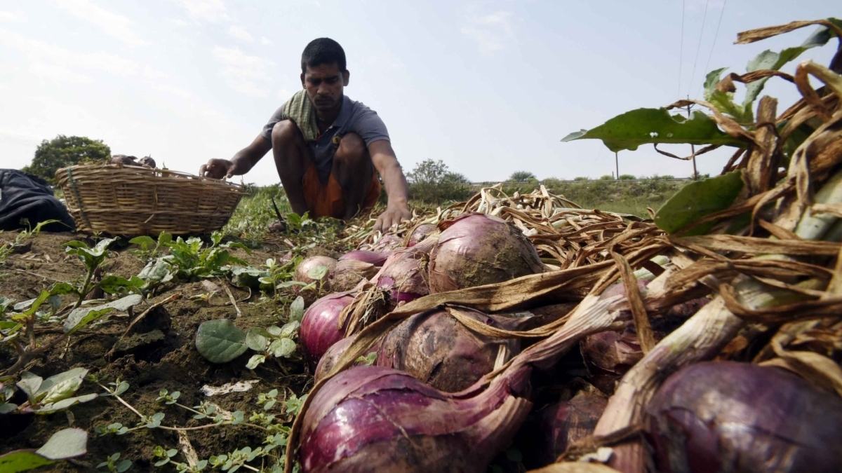 benefits of eating raw onion