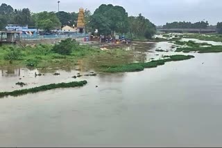 kaveri river