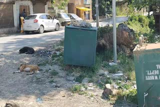 Sheli pora anantnag residents demand cleaning of dust bins as heaps of garbage irks residents