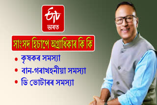 What would be the major issues to prioritize by Nagaon MP Pradyut Bordoloi