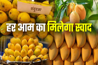 BHOPAL MANGO FESTIVAL