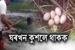 Sivasagar farmer stays away from cultivation