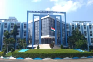 tamil nadu veterinary university