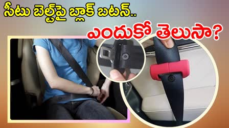 Car Seat Belts Black Button Importance