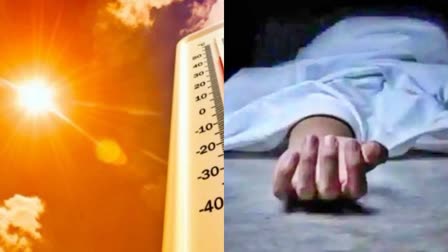 Death Due To Heat Wave In Nalanda