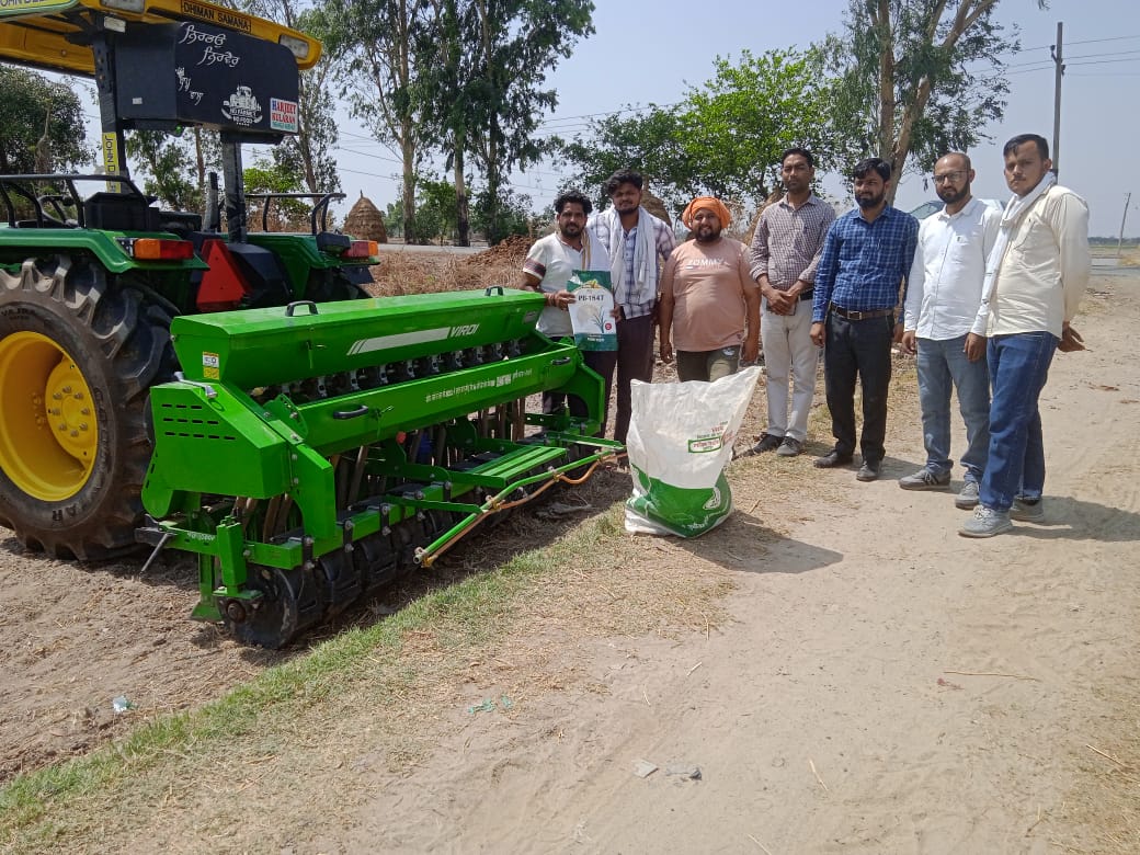 Paddy Cultivation In Haryana