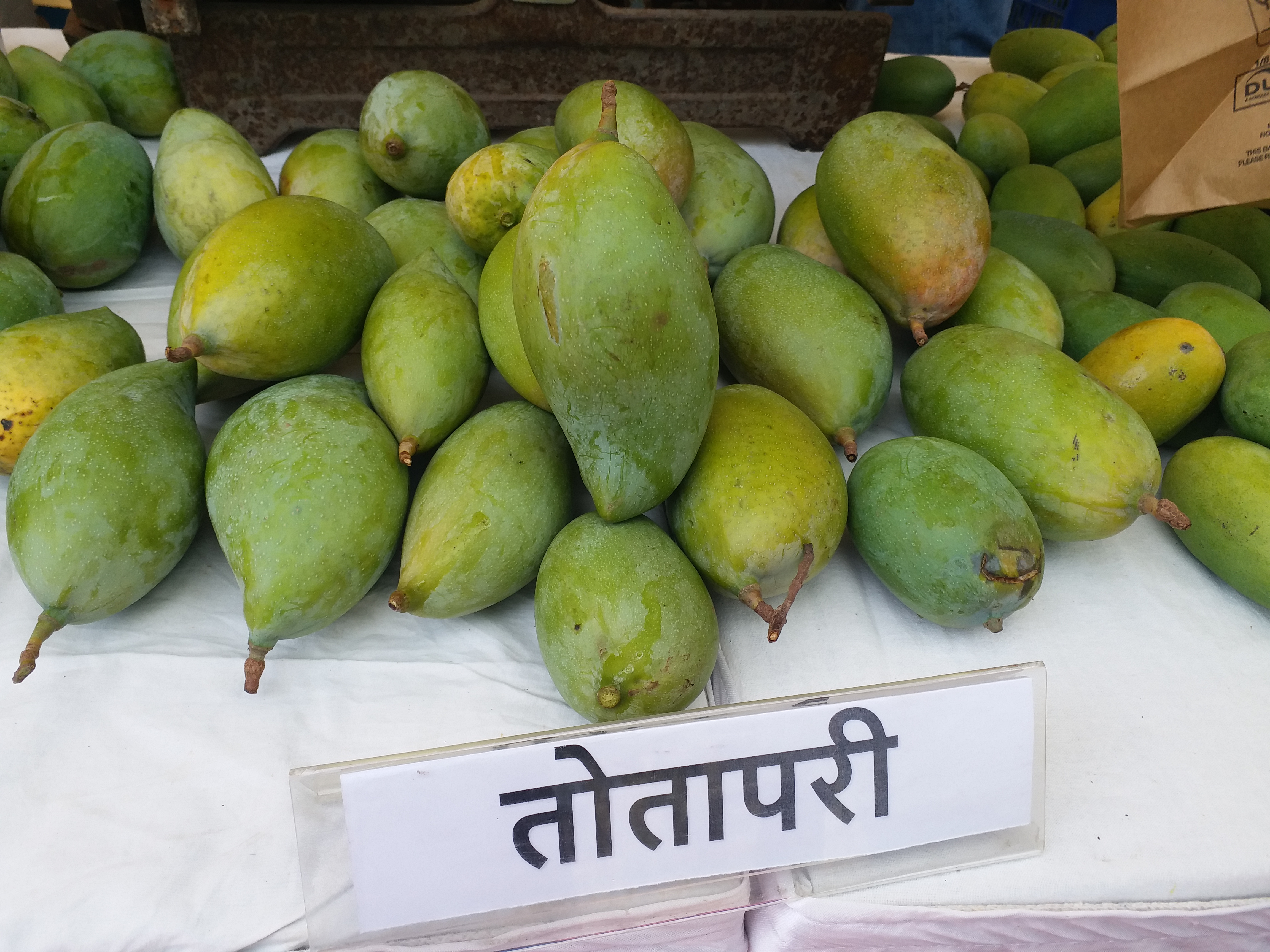 MP Mango Festival