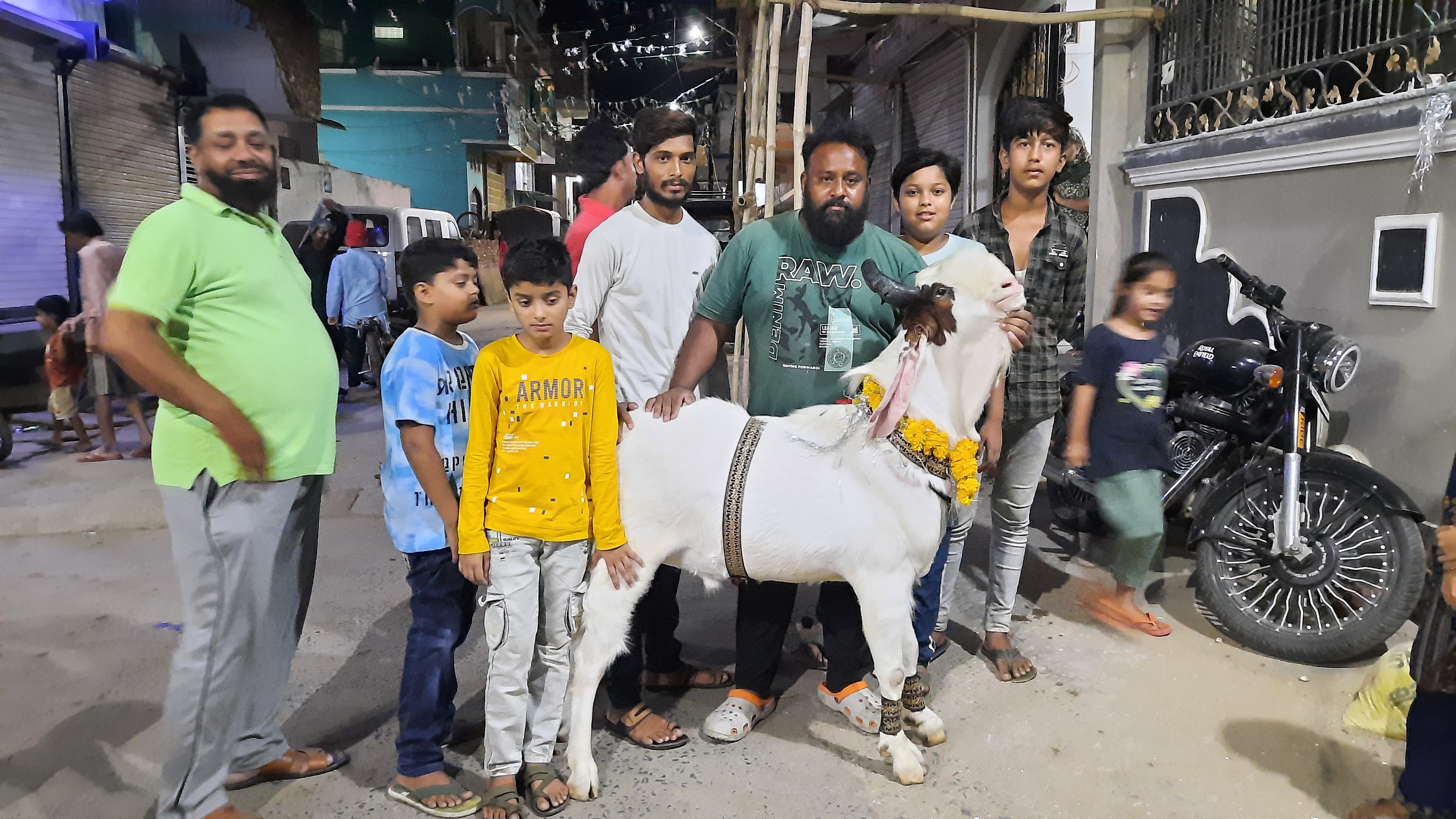 Vidisha goats Demand in Mumbai