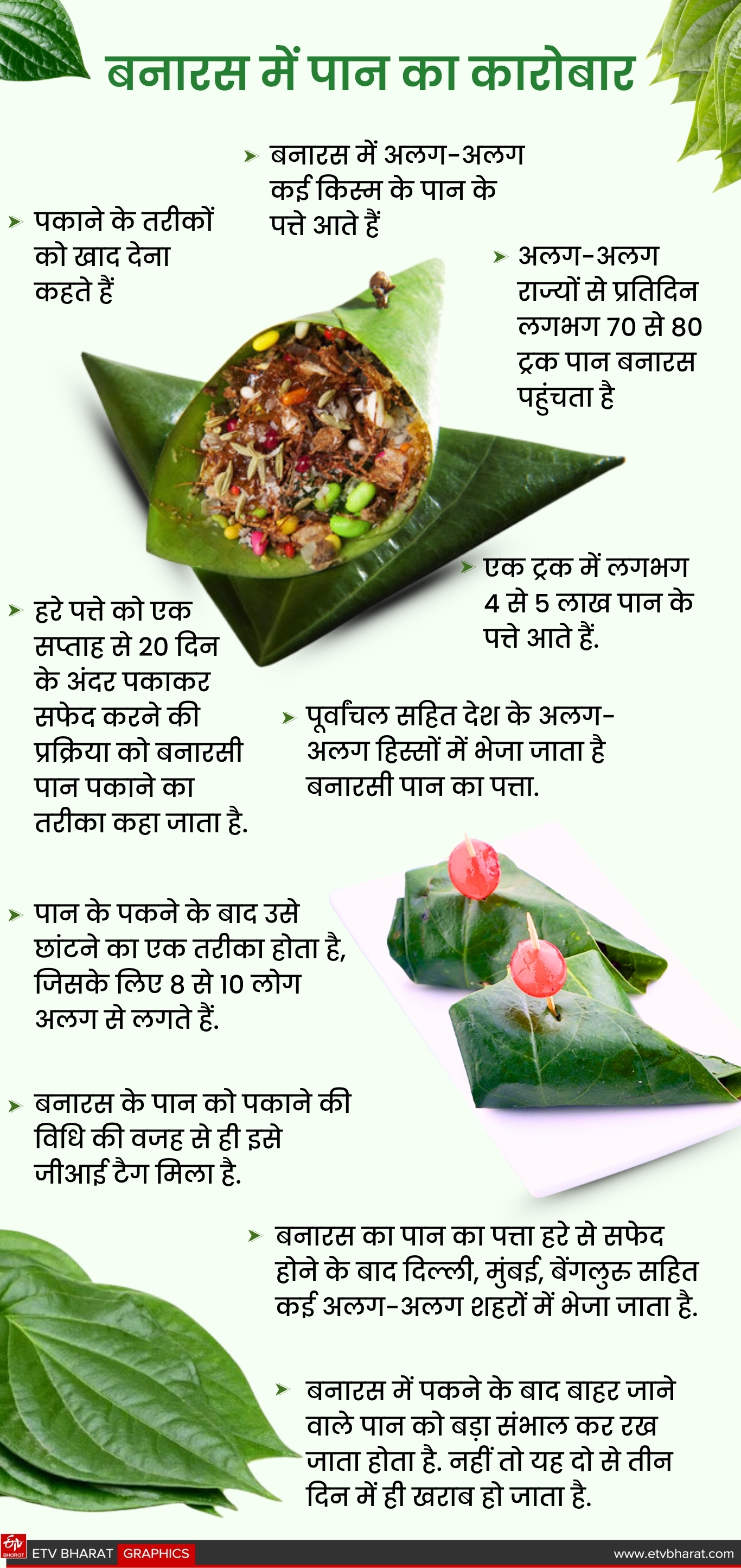 वाराणसी में पान के पत्ते का कारोबार.
