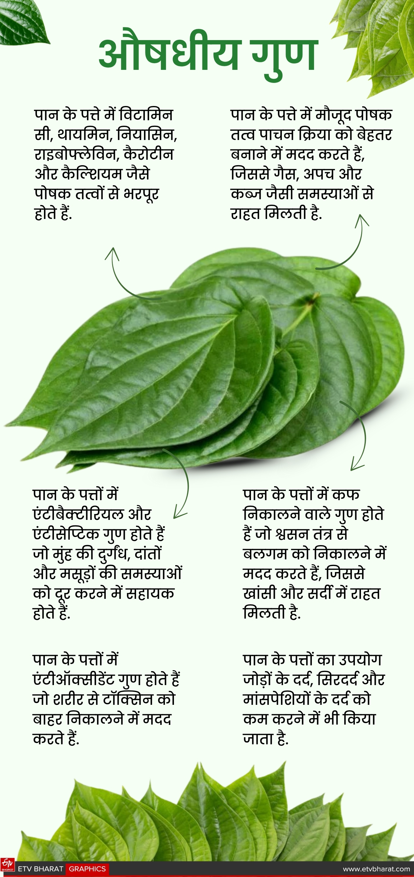 पान के पत्ते में औषधीय गुण.