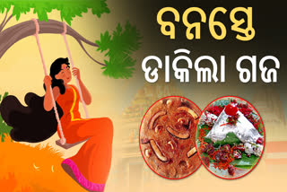 ODISHA RAJA FESTIVAL 2025