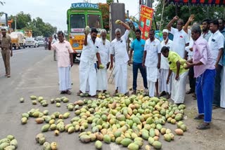 மாங்காய்களை சாலையில் கொட்டி எதிர்ப்பு