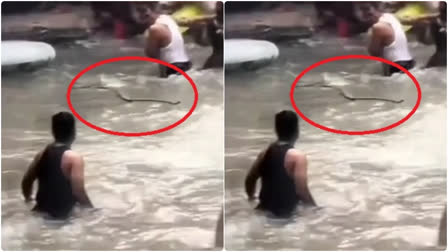 Snake Enters Kempty Fall उत्तराखंड मसूरी केम्पटी फॉल में नहाते लोगों के बीच घुसा सांप - Video 7 केम्पटी फॉल में पर्यटकों के बीच आया सांप, मची चीख पुकार, जानें फिर क्या हुआ