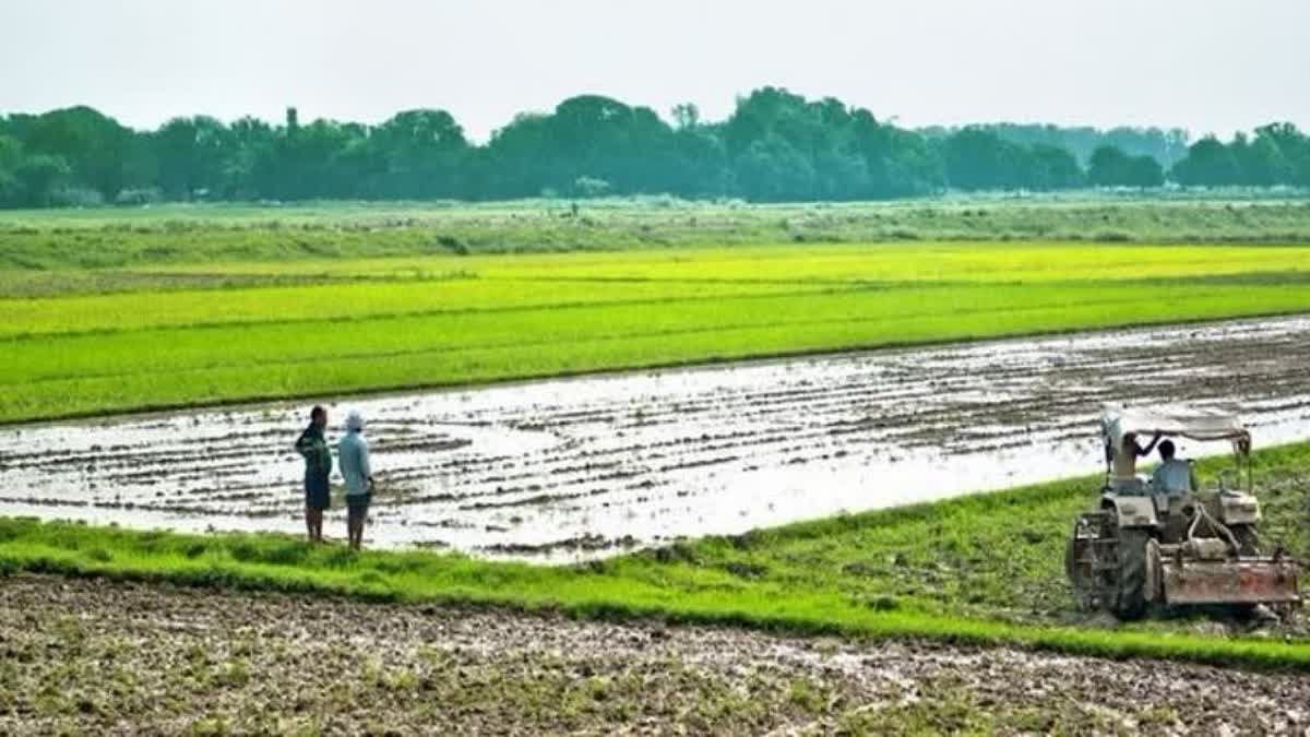 ପ୍ରଧାନମନ୍ତ୍ରୀ ଫସଲ ବୀମା ଯୋଜନା