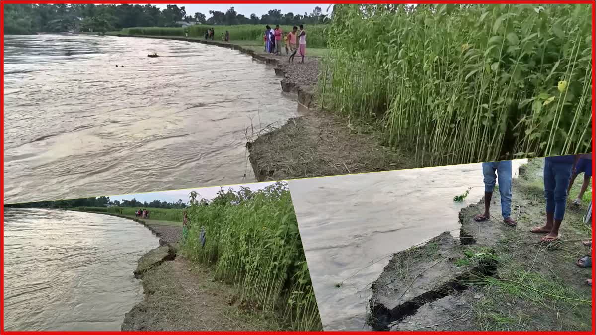 massive erosion of manah river in Bongaigaon