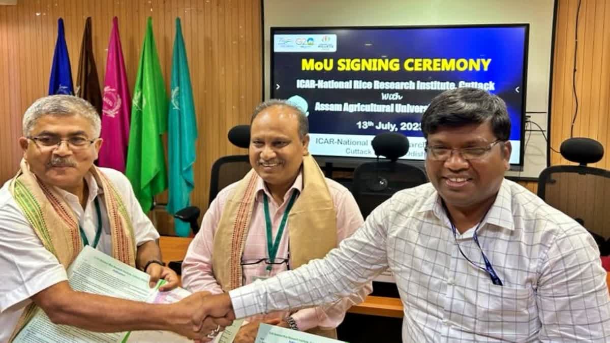 MOU singned for Paddy cultivation