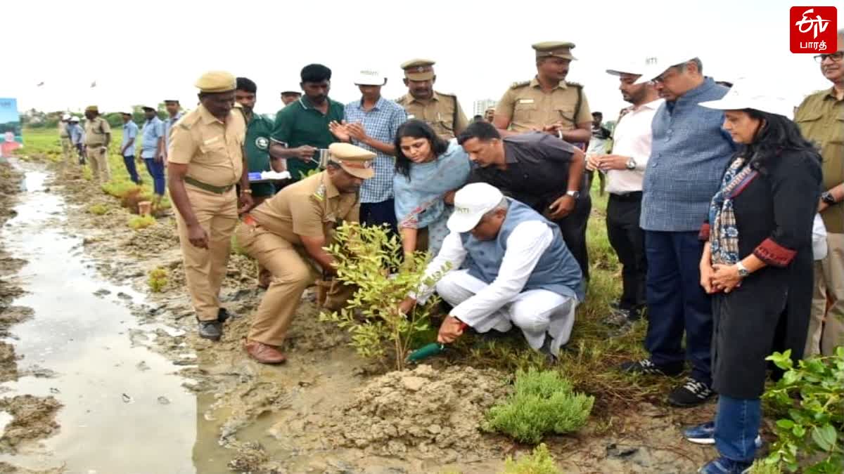 சென்னை கோவளத்தில் சதுப்புநில காடு வளர்ப்பு இயக்கத்தை தொடங்கி வைத்த மத்திய அமைச்சர்