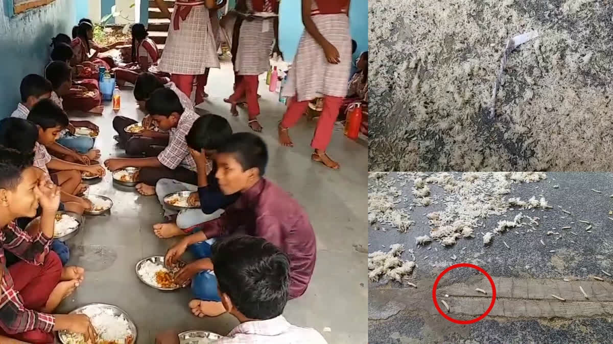 Insects Found in Mid Day Meal Rice in warangal