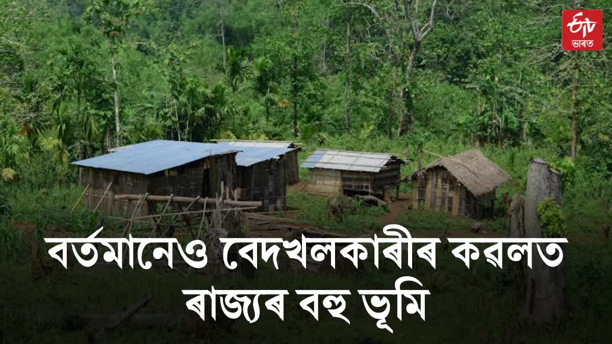 Encroachment in Assam