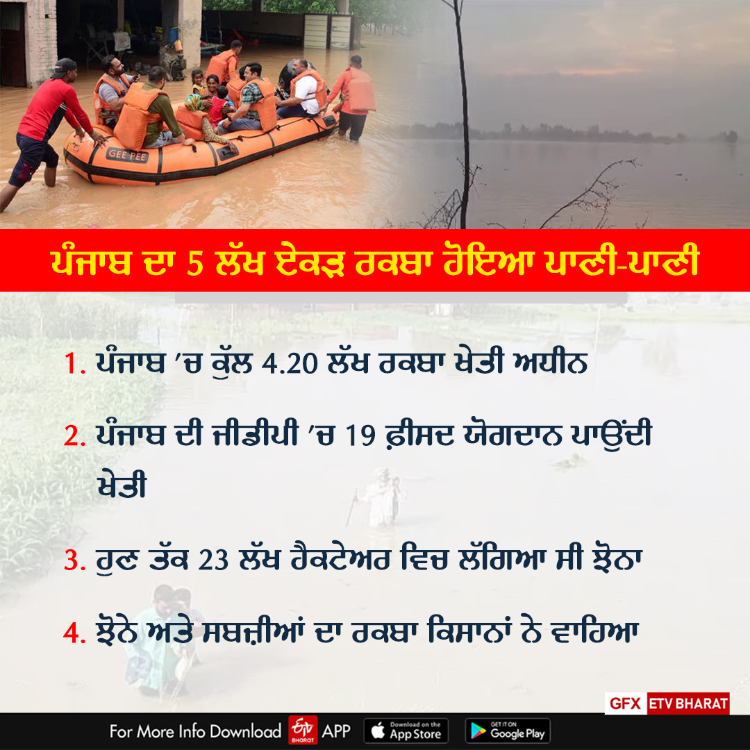 Punjab Floods, Bhagwant Mann, Floods In North India