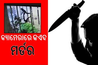 ଖୋର୍ଦ୍ଧାରେ ମହିଳାଙ୍କୁ ନିର୍ମମ ହତ୍ୟା